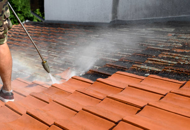 Best Sidewalk Pressure Washing  in Lake Park, IA