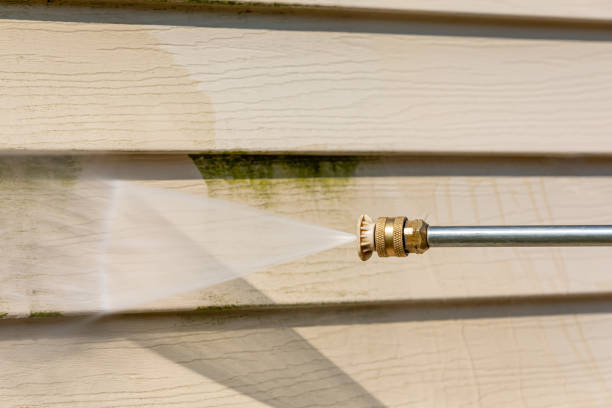 Best Affordable Pressure Washing  in Lake Park, IA