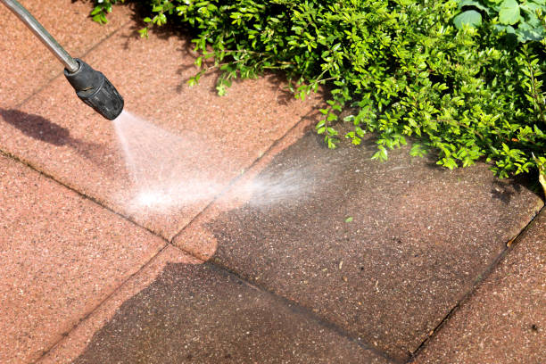 Best Exterior Home Cleaning  in Lake Park, IA